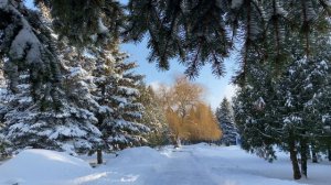 Релакс. Зимняя спокойная музыка.