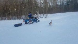 мотоблок Нева мб 23 на гусеницах