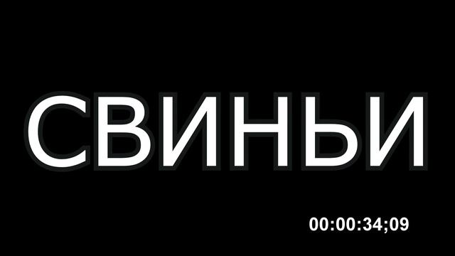 Про свиней.А.Наумов.1970 год. Найдено случайно на свалке. смотреть онлайн