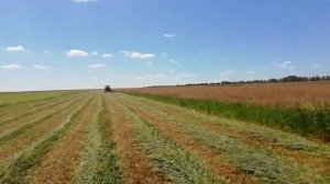 ПРОЦЕСС Заготовки сена.КАК МЫ ЗАГОТАВЛИВАЕМ СЕНО 2020ГОД HAY making process