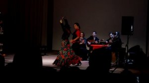 ДНК Кармен / спектакль фламенко / Наталья Зайкова