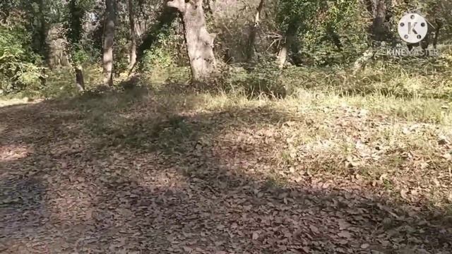 Огромный парк Vaugrenier в Вильнев Лубе?? Гуляем,болтаем,вспоминаем? смотреть онлайн