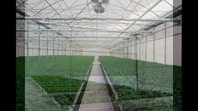Оборудования для теплиц и для парников смотреть онлайн