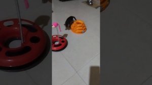 Тарзан и его игрушки!)