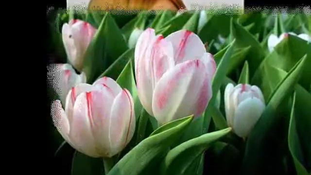 МИЛОЙ ДОЧЕНЬКЕ ОТ МАМЫ