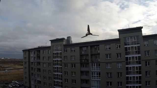 Имперский флот на крыше в Славянке))) смотреть онлайн