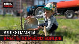 Аллею Памяти в честь погибших участников СВО высадили в Балашихе