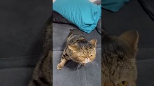 Света вызвала Духа. Злой Дух преследует Свету в реальной жизни