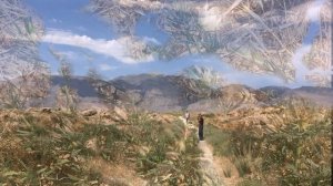 Возвращаются птицы в гнездовья свои