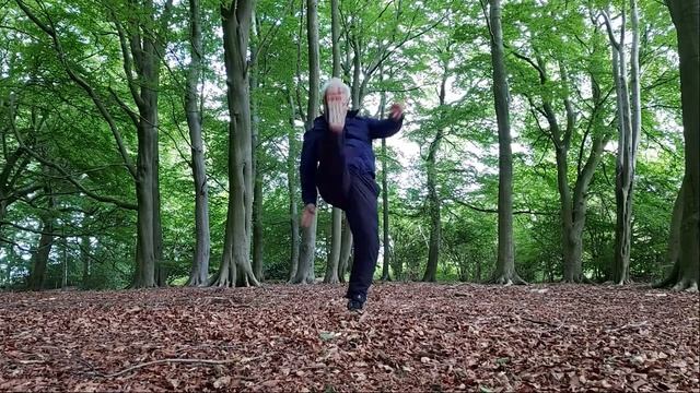 Hapkido combination kicks and punches.#20-2 смотреть онлайн