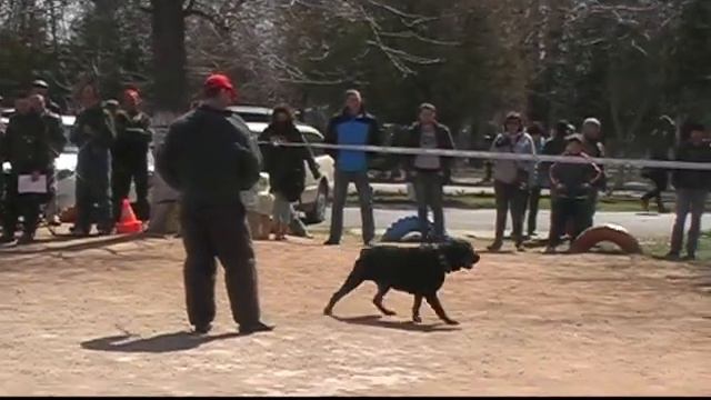 РР весна 13 04 14 смотреть онлайн