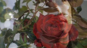 Сон Сын Хон  2  2  2018г