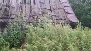 Река Зея. Путешествие от п.Чагоян до р. Тыгда. (100 км. вверх)