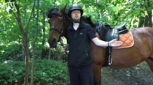 Конные прогулки с КСК Прованс