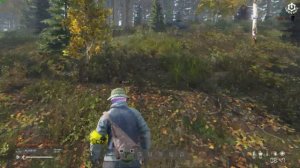Lag Switch Лагсвич #dayz
