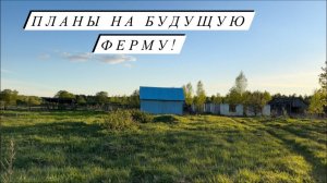 Гуляем всей семьей в полях!Дискуем 20 га!Написали заявление на беспризорных коров!