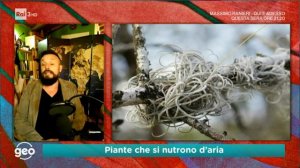 "Piante che si nutrono d'aria", GEO, RAI3, 01 Gennaio 2021