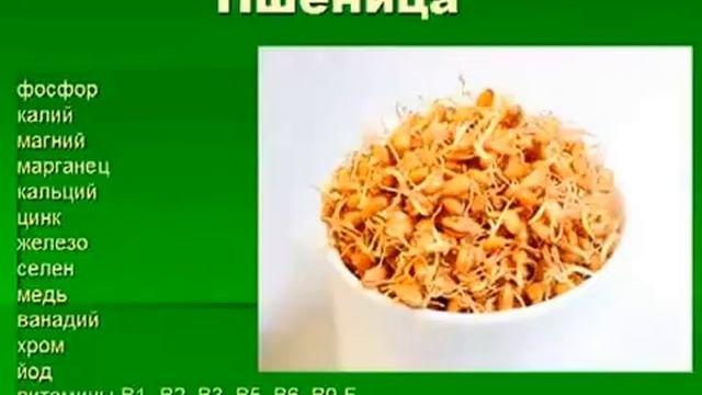 Сила проростков