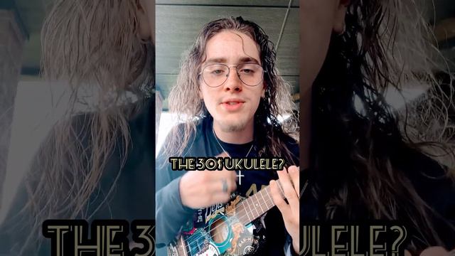 30$ vs 100$ Ukulele! (5) #verusus #ukulele #music #toxic #boywithuke #fyp #viral