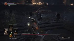 Dark Souls 3. Босс Хранители бездны - прохождение за рыцаря