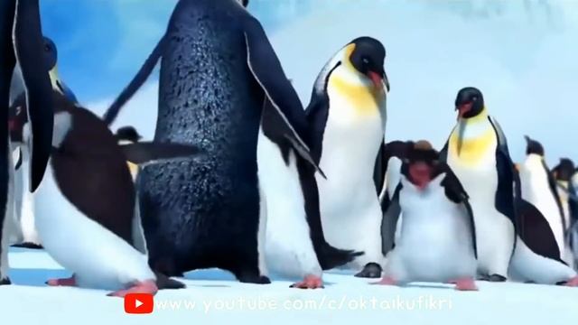 PENGUIN DANCE LUCU  GOYANG PENGUIN NEW