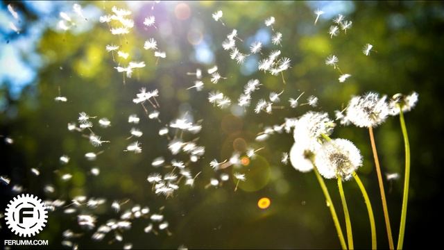 Работа с широкоугольными объективами: monochrome #7 смотреть онлайн