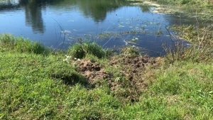 Село Климово Торжокский район - в поисках Земли