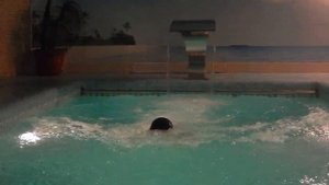 Костя плавает по-лягушачьи