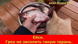 Ейск. Грех не засолить такую тарань.