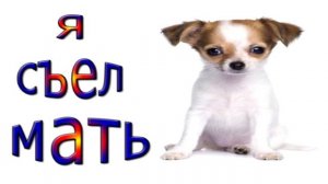 Тест на шизу - уровень понос