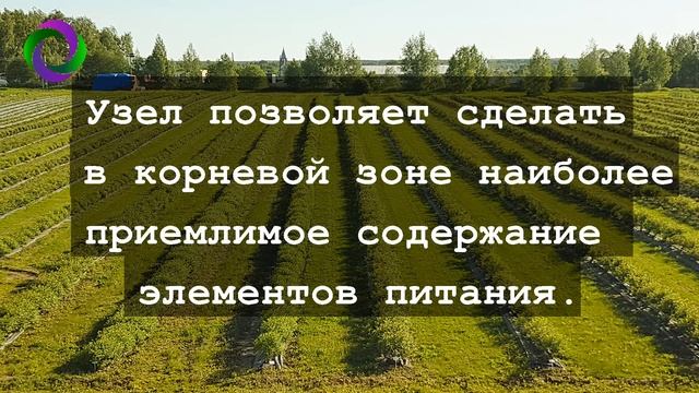 Фертигация жимолости. Ответы на вопросы. Выпуск 4. смотреть онлайн