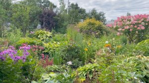 Сад Оксаны Кудрявцевой 24 августа 2023