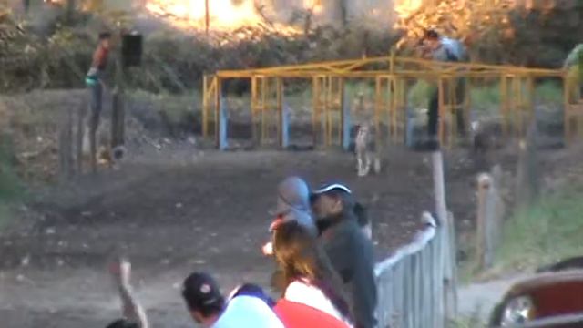 CANODROMO CODAO DE PEUMO IV REGION 25 смотреть онлайн