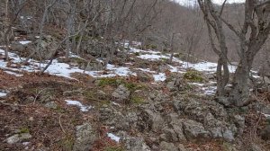 по следам на Долгоруковскую яйлу. Биштельская балка, Иванова балка,    с.Дружное #крым  #БЕЗТАБУ