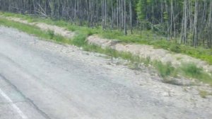 Дальнобой по России Якутск-Алдан-Амурск, как всё это происходило. новое Знакомство, от души