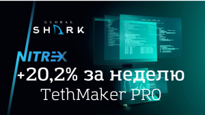 Nitrex TethMaker PRO результат торговли +20.2% за неделю!