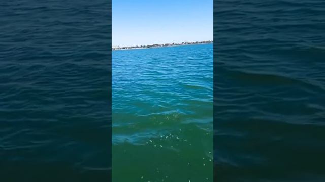 Бердянск#Аrle#Море смотреть онлайн