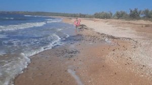 Казантипский залив. Азовское море 31.08.2021г.
