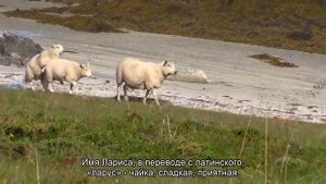 Значение имени Лариса. Толкование, судьба, характер