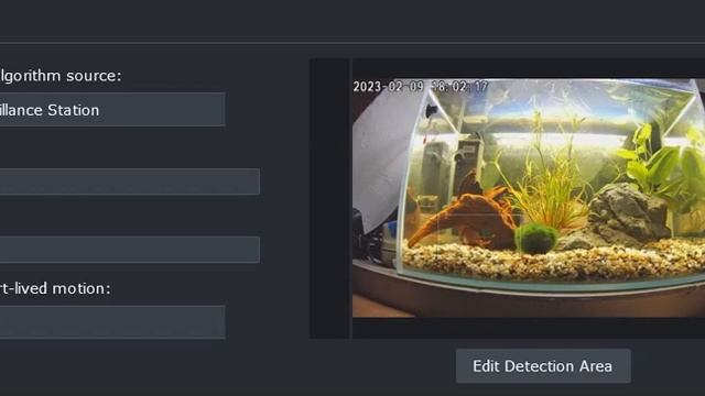 StpdDevs#000002 - Synology Surveillance station poor motion detection of light changing смотреть онлайн