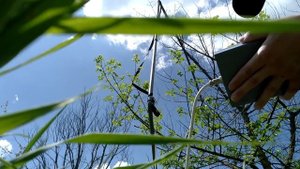 Настройка платы Клон pi w под любой датчик