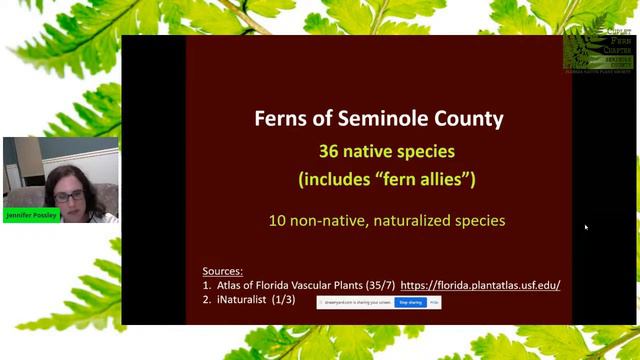 Fern Basics and Ferns of Florida🌿 With Jennifer Possley of Fairchild Tropical Botanic Garden