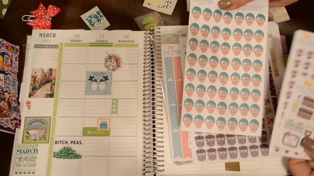 Plan With Me in my Plum Paper Planner March16-22 смотреть онлайн