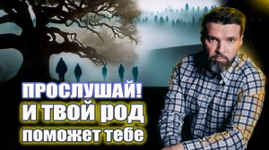 Возвращение силы рода. Прослушай! И твой род поможет тебе | Сергей Жигалко