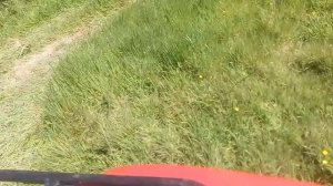 Suzuki eiger 400 start up and drive