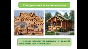 Тема 15. Значение растений в природе и жизни человека