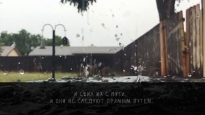 БЕЗ СЛЁЗ НЕВОЗМОЖНО СЛУШАТЬ! Сура 27: «АН-НАМЛЬ» («МУРАВЬИ») Саид Дибах