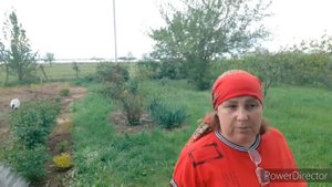 Мой дизайн и благоустройство двора частного дома своими руками