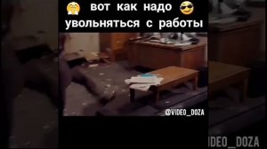 Вот как надо увольняться с работы, мастер класс от Брюса Ли :-D