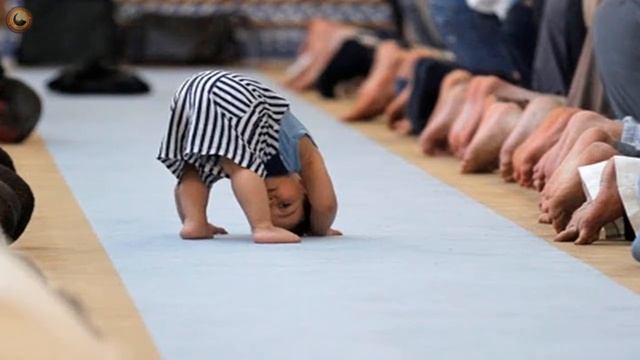 Обязательность и ценность намаза смотреть онлайн